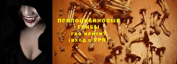 хмурый Снежногорск