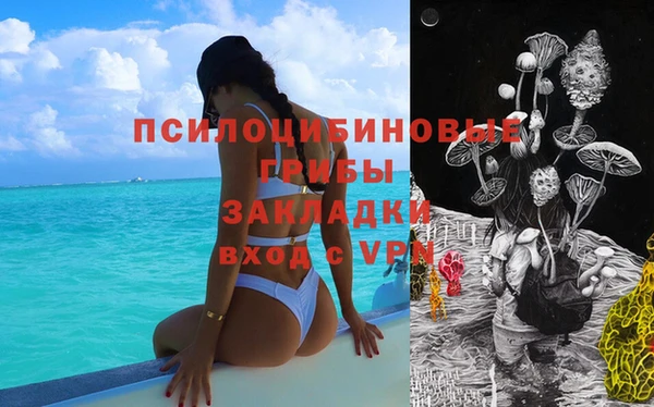a pvp Алексеевка