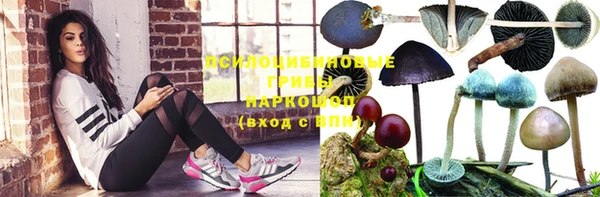 a pvp Алексеевка