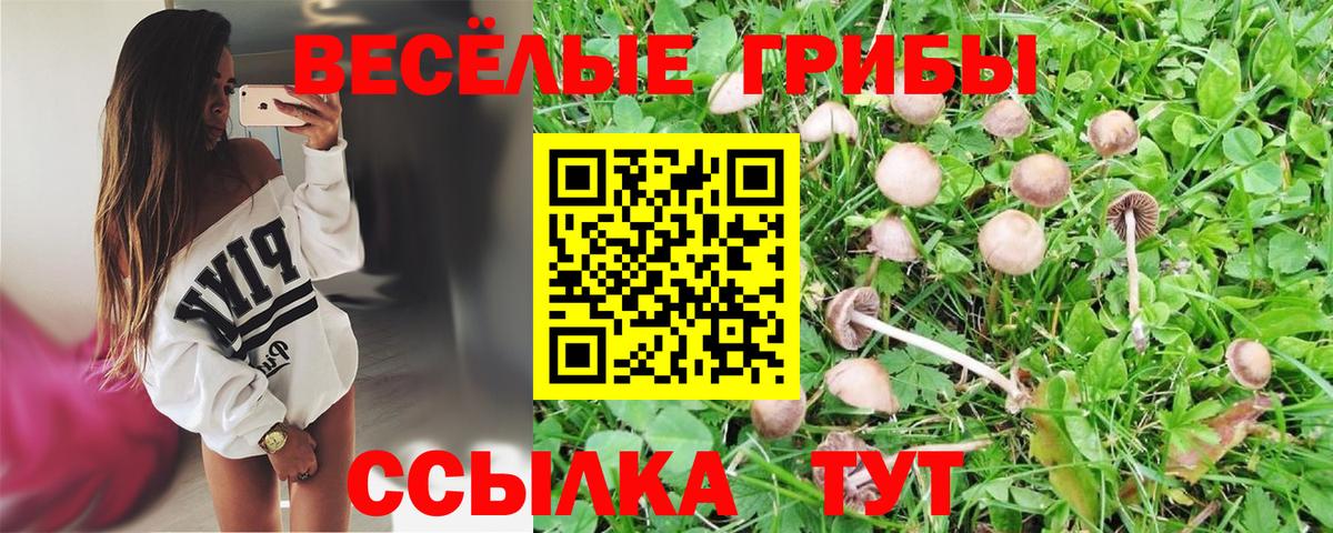 Лесосибирск  Галлюциногенные грибы MAGIC MUSHROOMS  Вход с VPN 