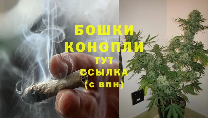 Марихуана OG Kush  наркотики  Лесосибирск 